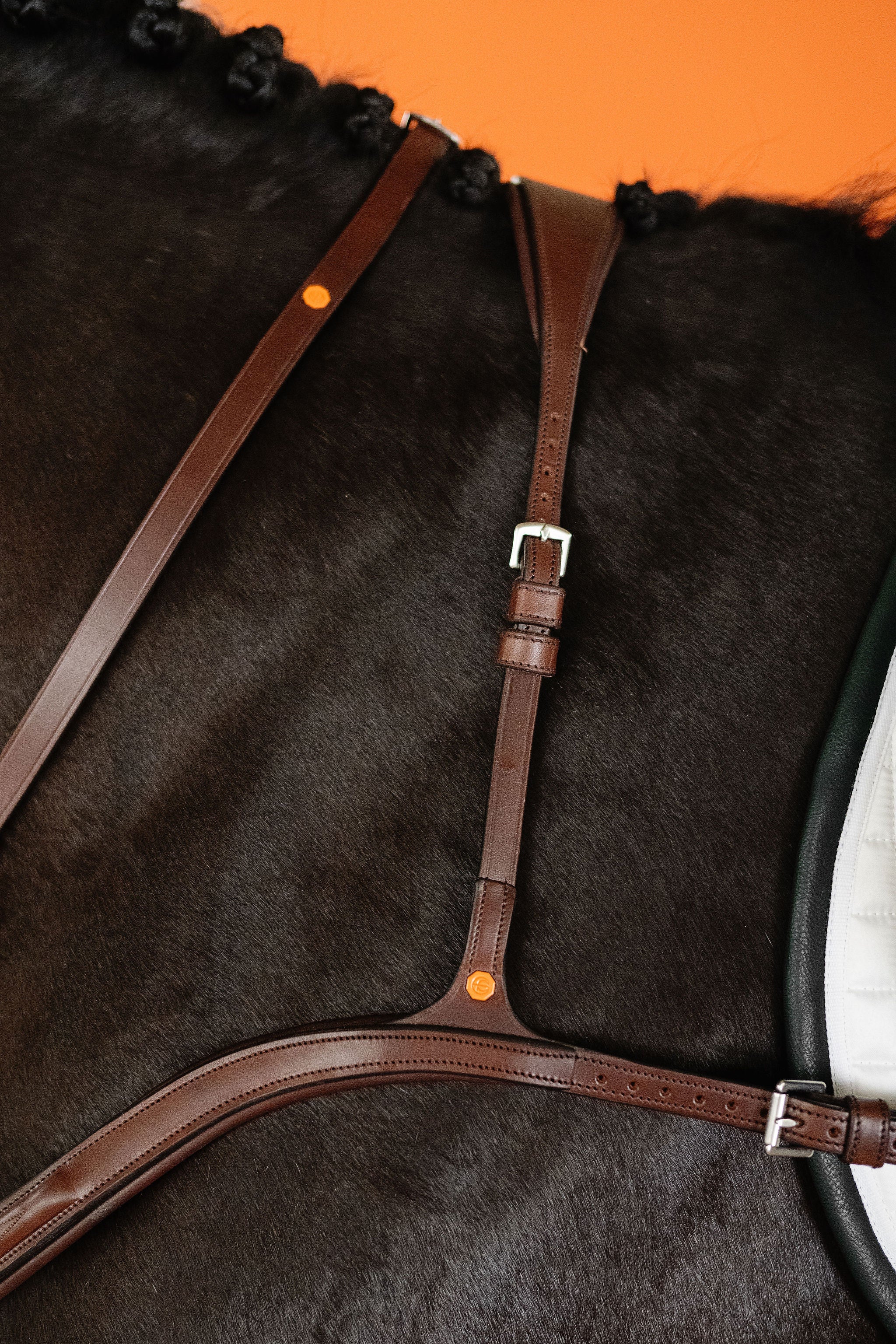 3-Point Breastplate (Brown) | No. 70