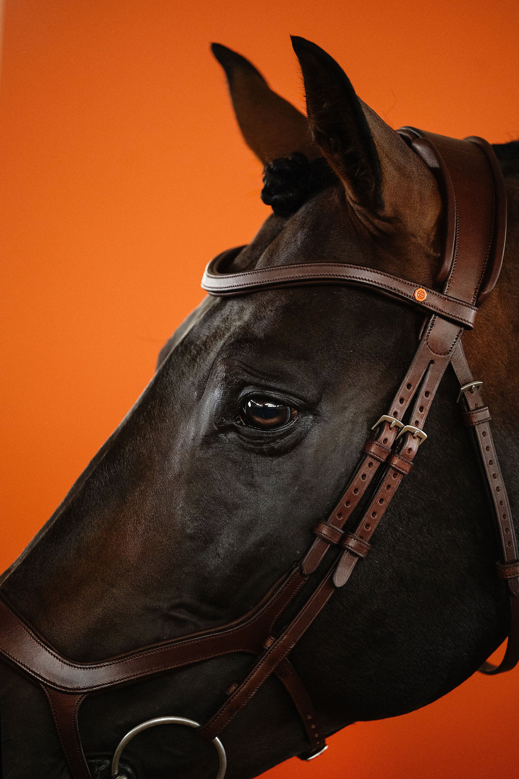 Remont (Drop) Bridle (Brown) | No. 07