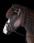 Native Bridle No. 17 | Black