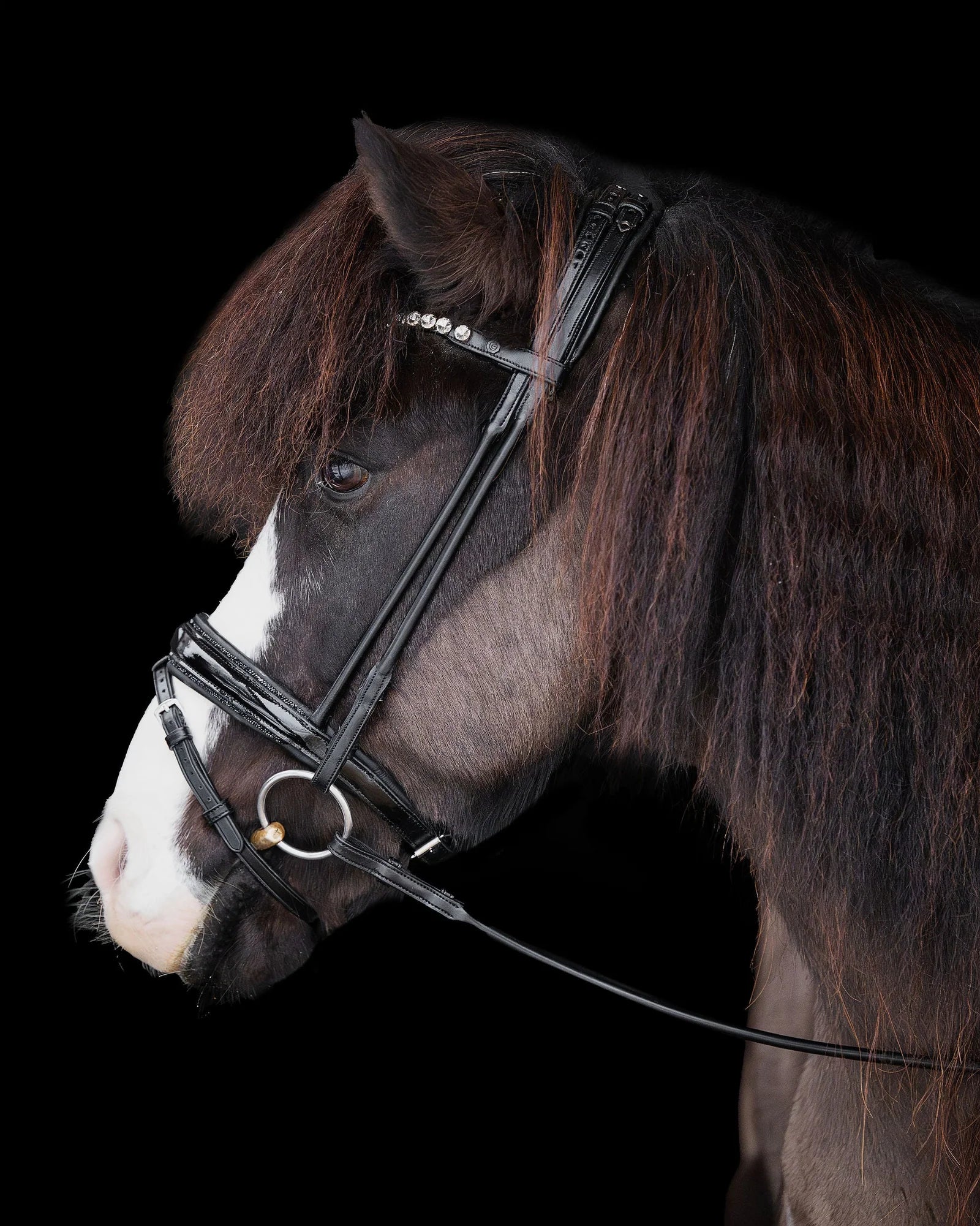 Native Bridle No. 17 | Black