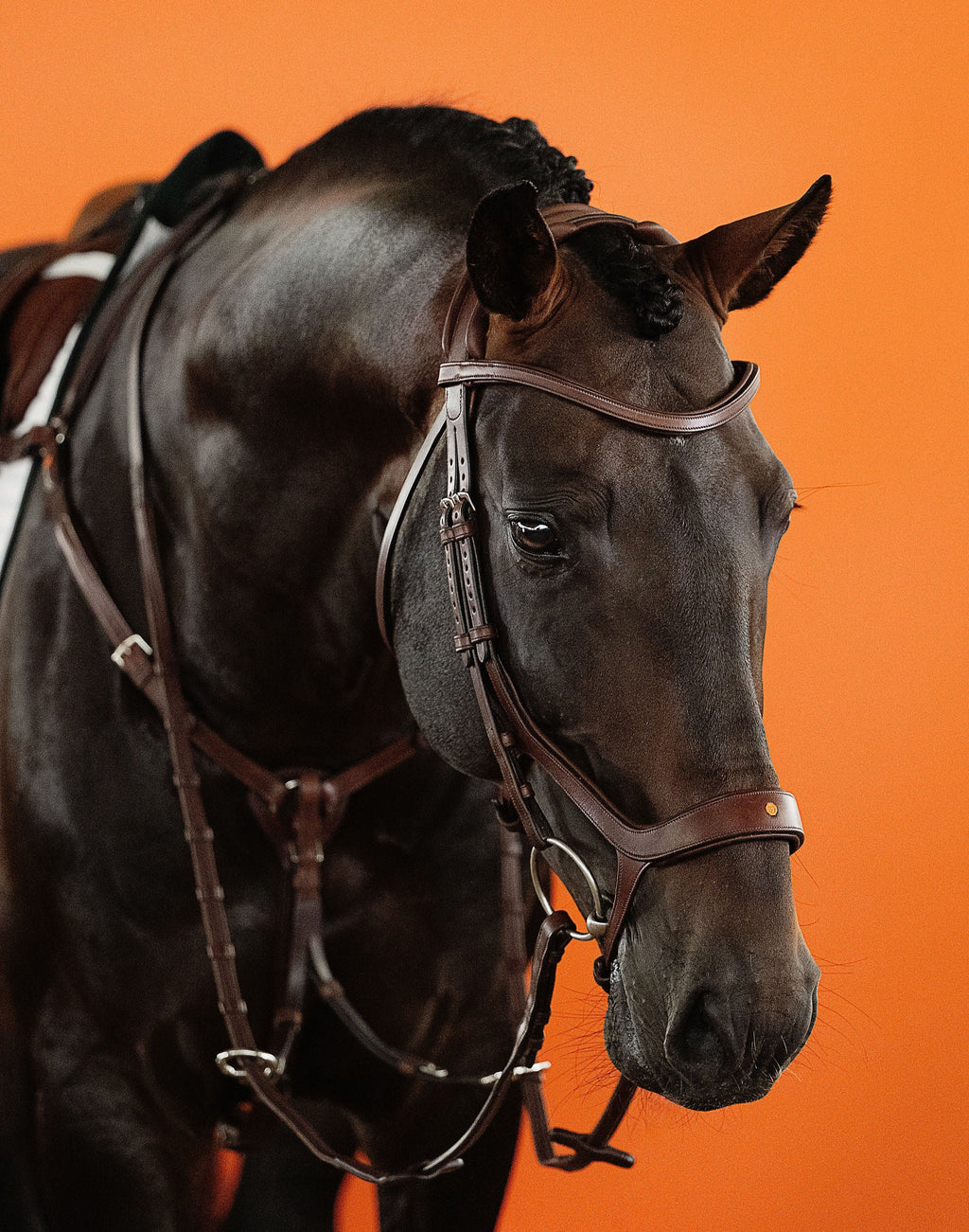 Remont (Drop) Bridle (Brown) | No. 07
