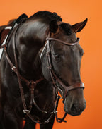 Remont (Drop) Bridle (Brown) | No. 07