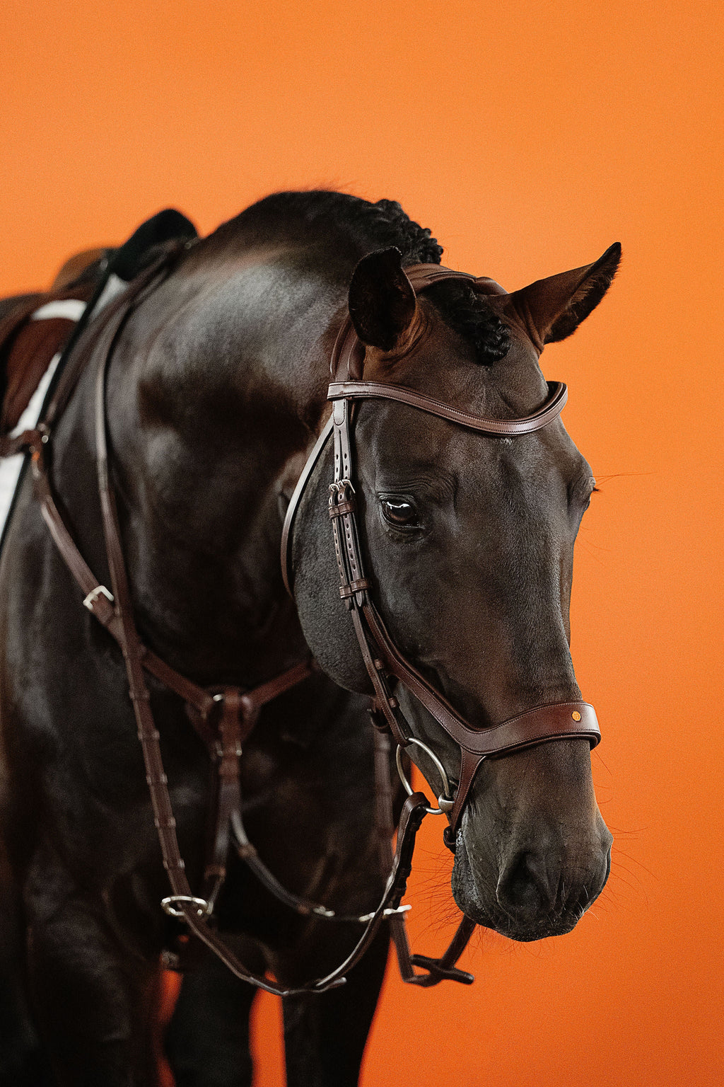 3-Point Elastic Breastplate with Martingale (Brown) | No. 71