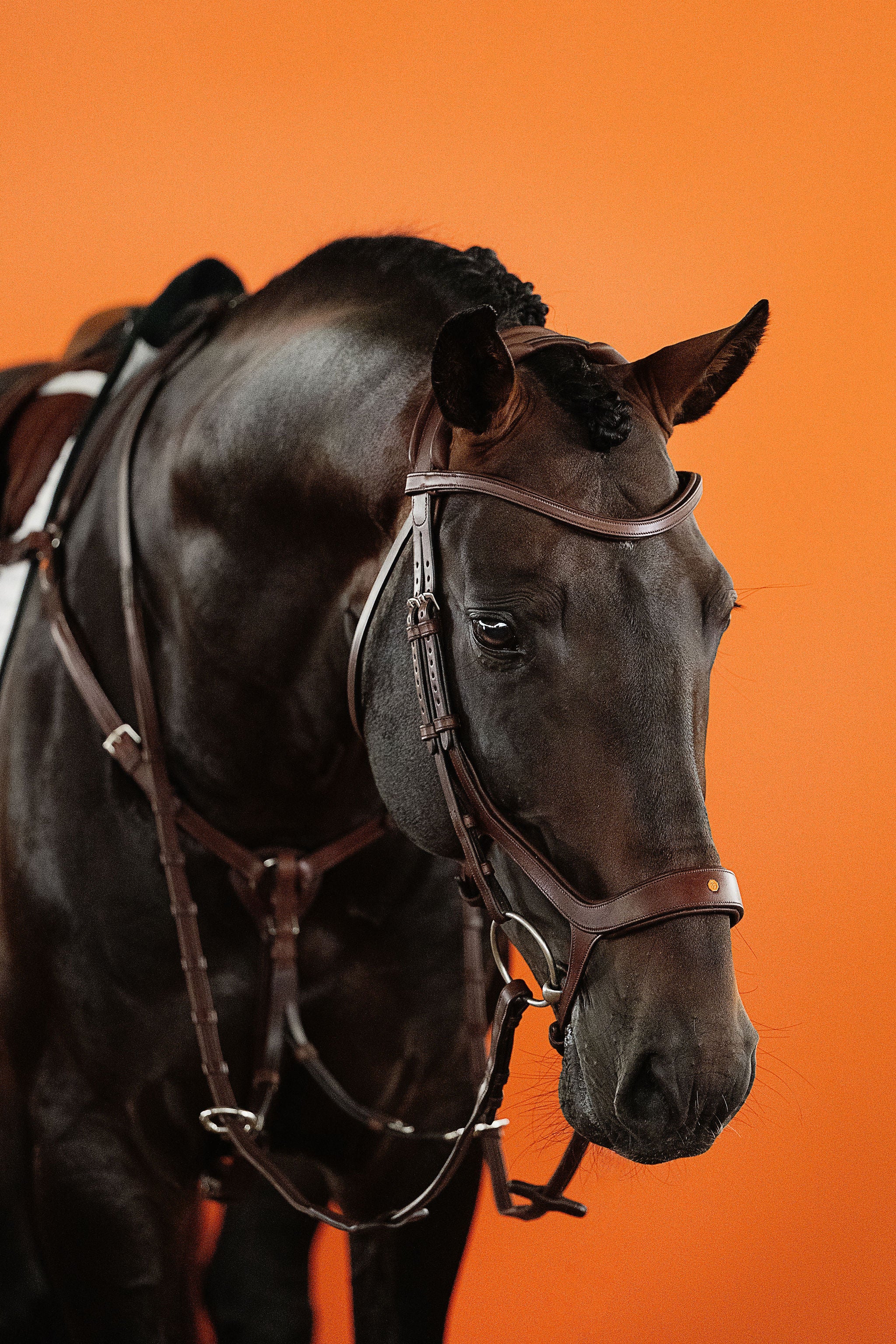 3-Point Elastic Breastplate with Martingale (Brown) | No. 71