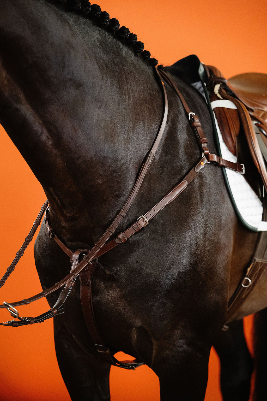 3-Point Elastic Breastplate with Martingale (Brown) | No. 71