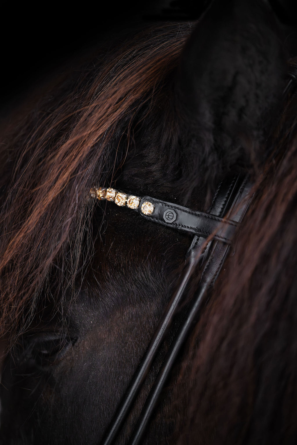 Light Colorado Topaz Crystal Browband (8 mm) (Black) | No. 60