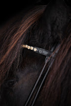Light Colorado Topaz Crystal Browband (8 mm) (Black) | No. 60