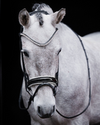 Patent Crystal Bridle Pony – Black | No. 12