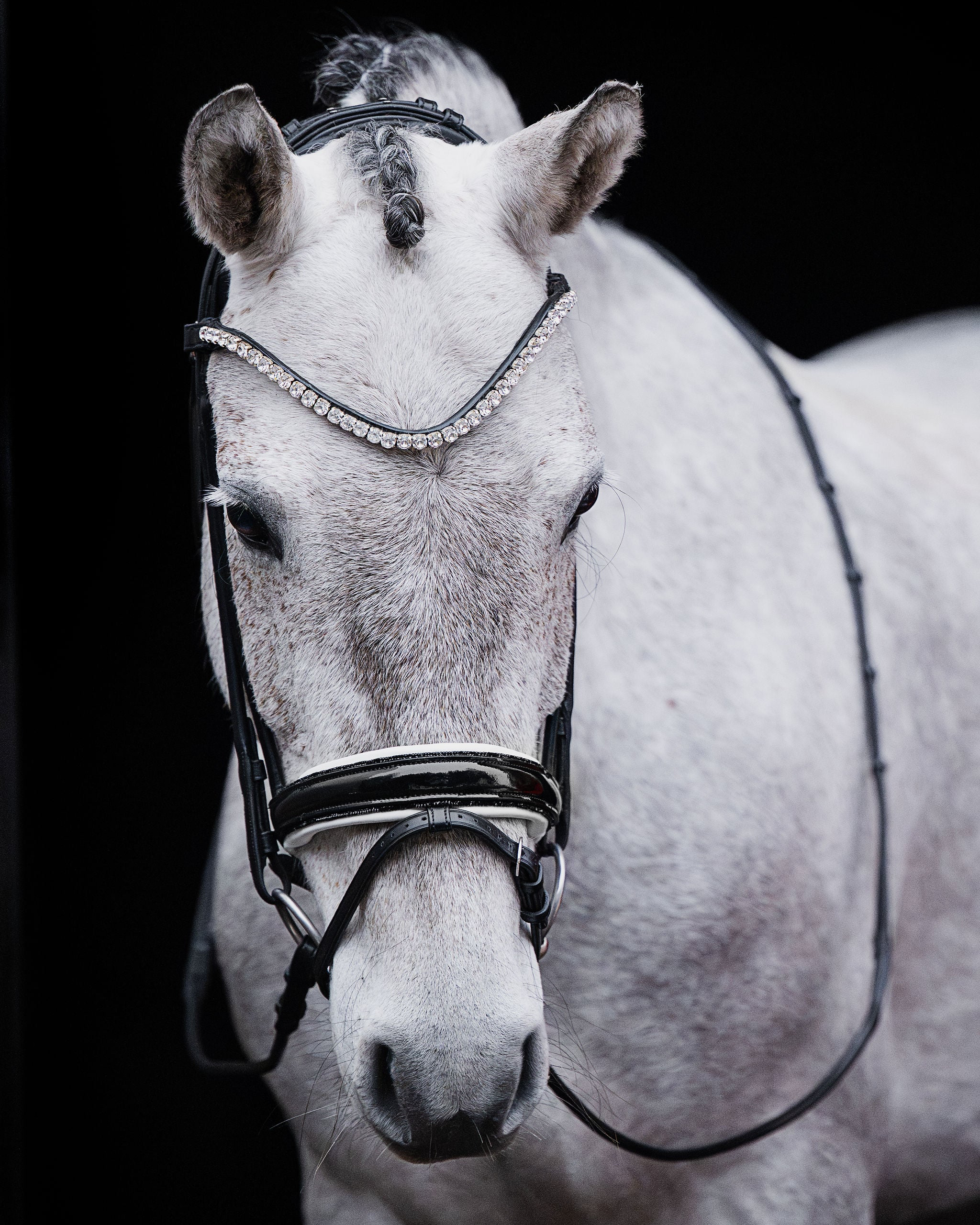 Patent Crystal Bridle Pony – Black | No. 12