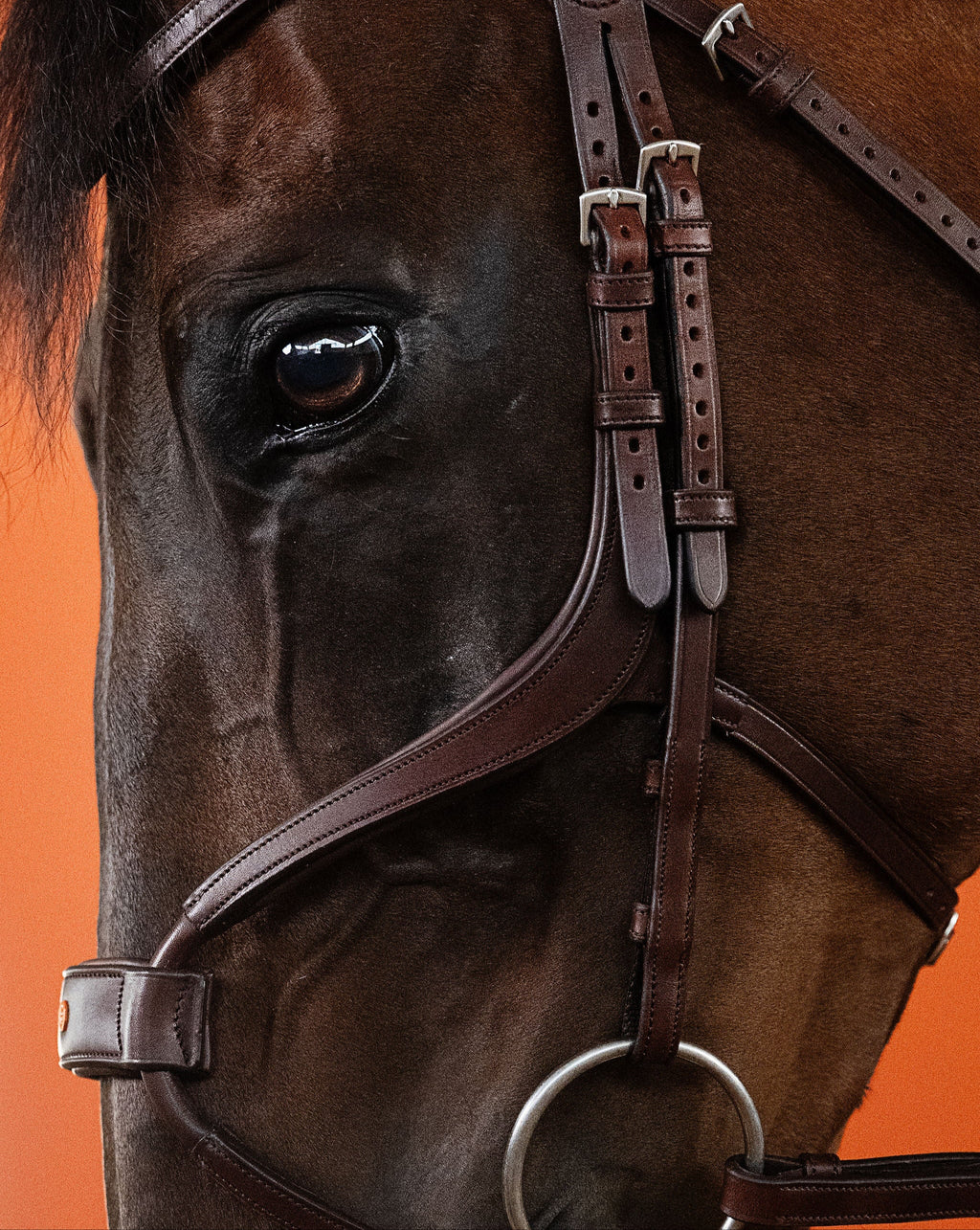 Mexican Bridle (Brown) | No. 06