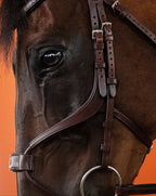 Mexican Bridle (Brown) | No. 06