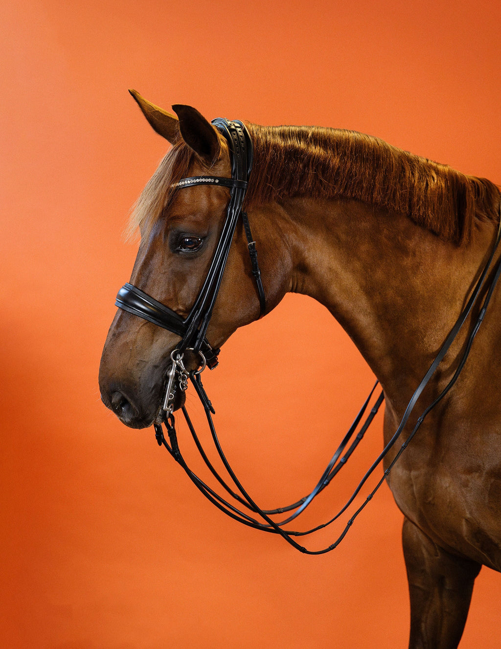Round-Stitched Double Bridle (Black) | No. 03