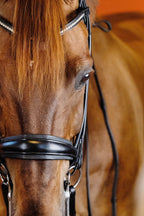 Round-Stitched Double Bridle (Black) | No. 03