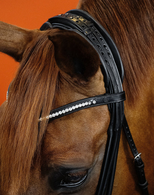 Crystal Clear Browband (6 mm) (Black) | No. 52