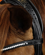 Crystal Clear Browband (6 mm) (Black) | No. 52