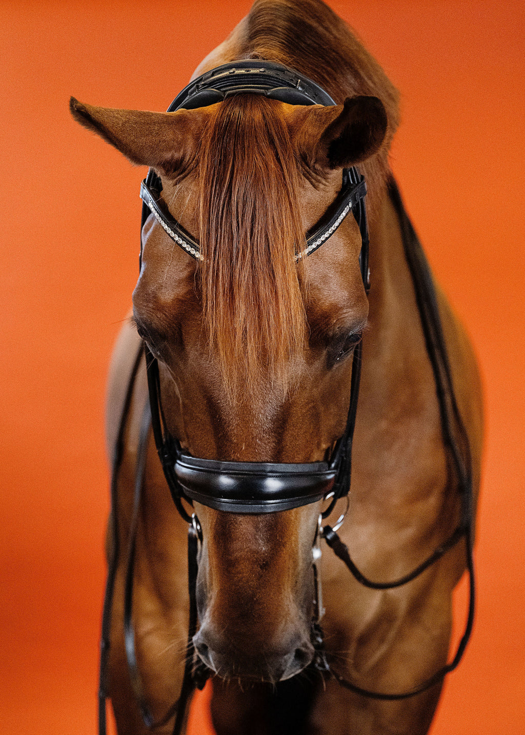 Round-Stitched Double Bridle (Black) | No. 03