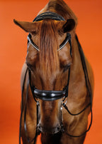 Round-Stitched Double Bridle (Black) | No. 03