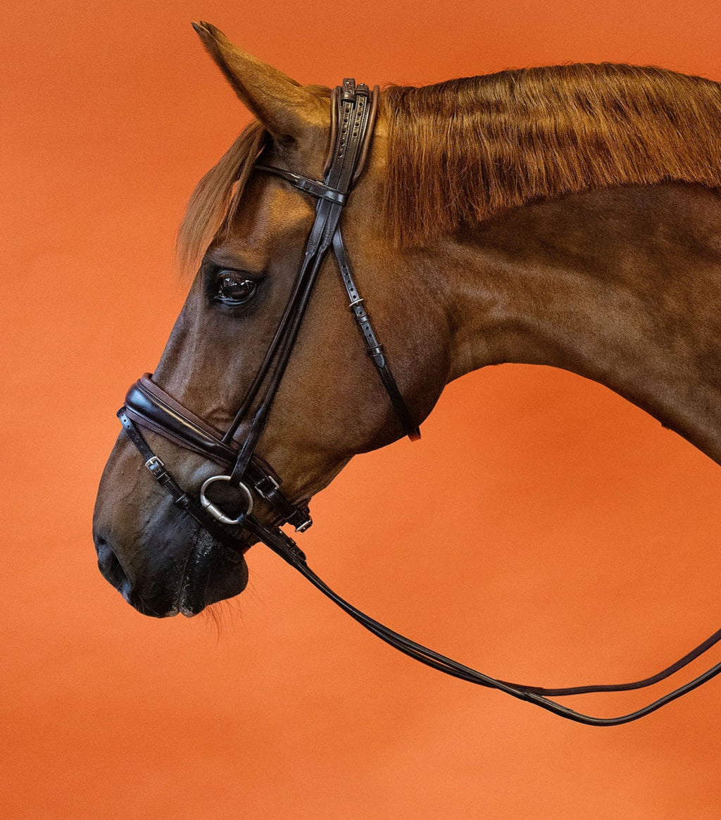 Round-Stitched Dressage Bridle – Brown | No. 10