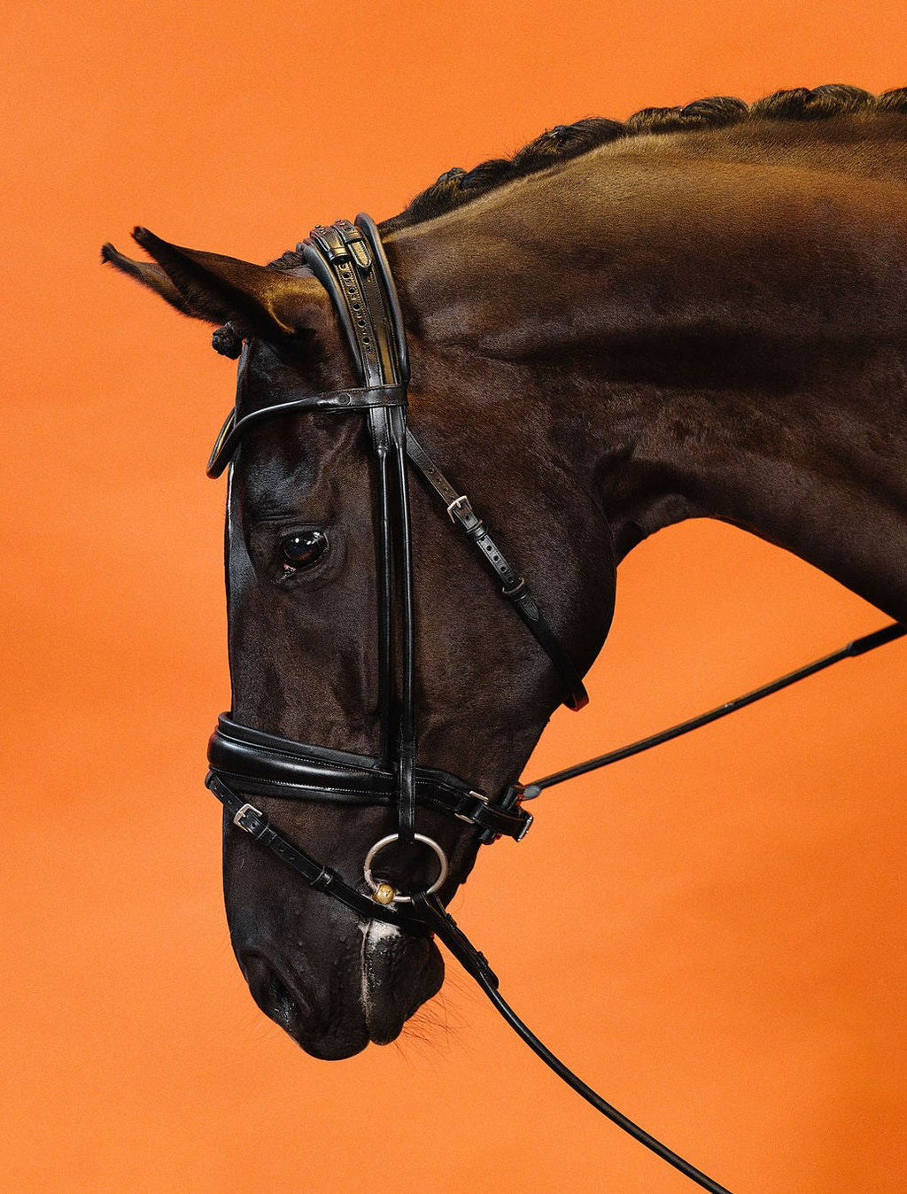 Round-Stitched Dressage Bridle – Black | No. 10