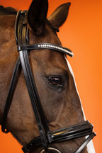 Dressage Bridle (Black) | No. 01