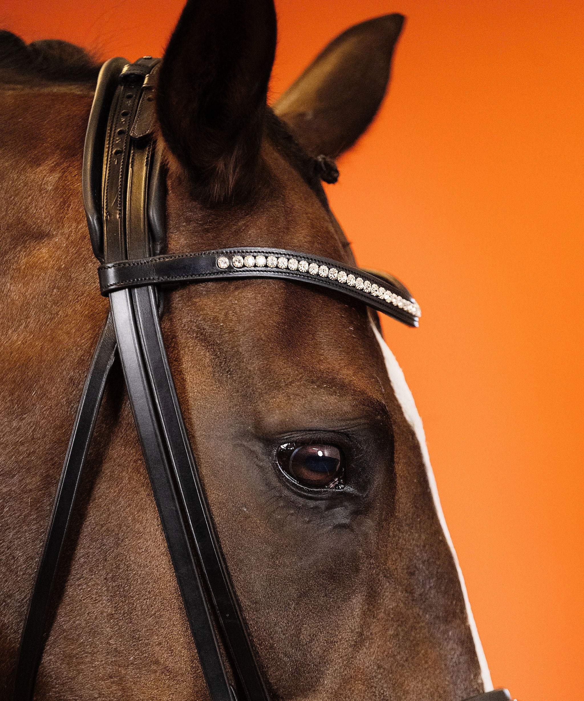 Crystal Clear Browband (6 mm) (Black) | No. 52