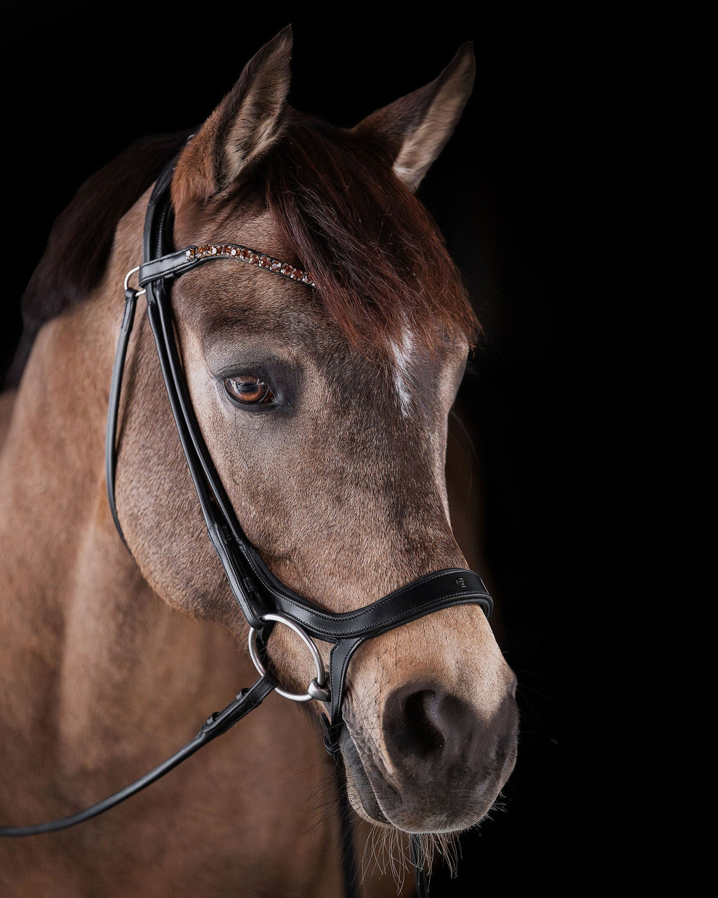 Pony Bridle No. 13 | Black