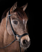 Pony Bridle No. 13 | Black