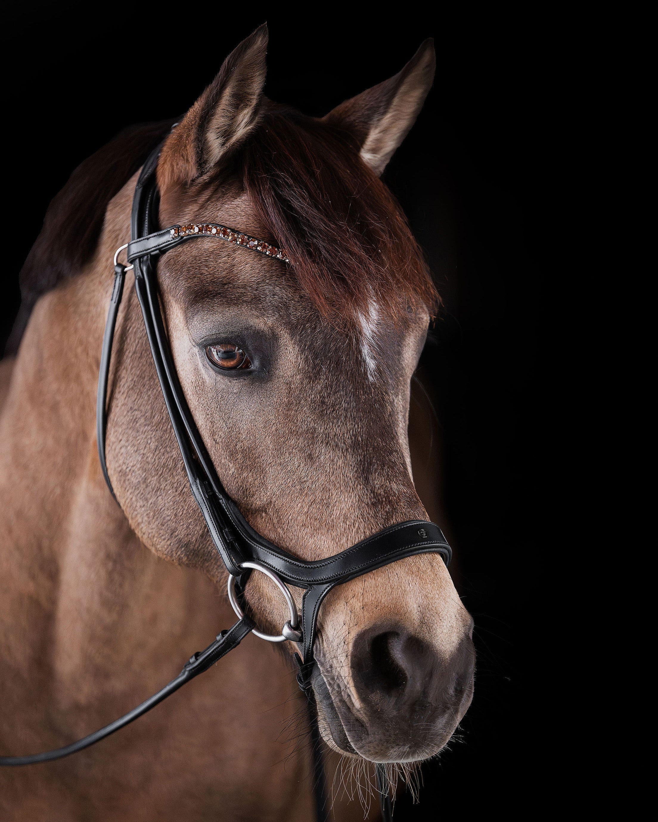 Pony Bridle No. 13 | Black