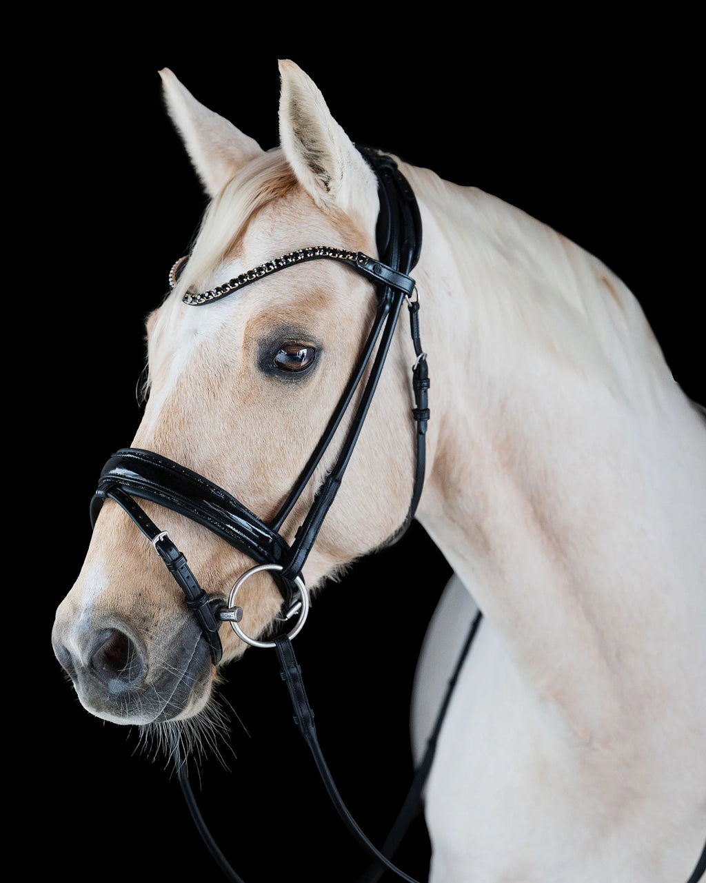 Pony Dressage Bridle No. 12 | Black