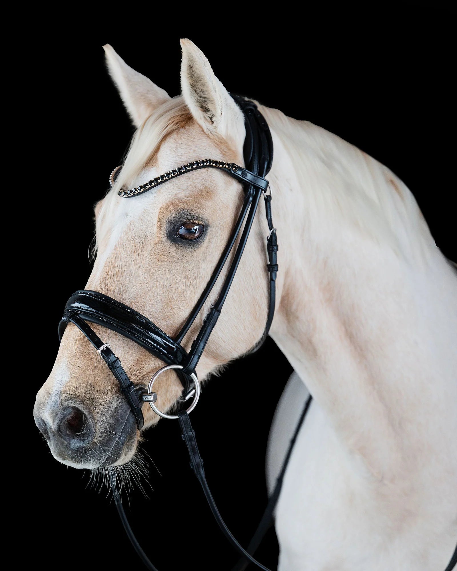 Pony Dressage Bridle No. 12 | Black
