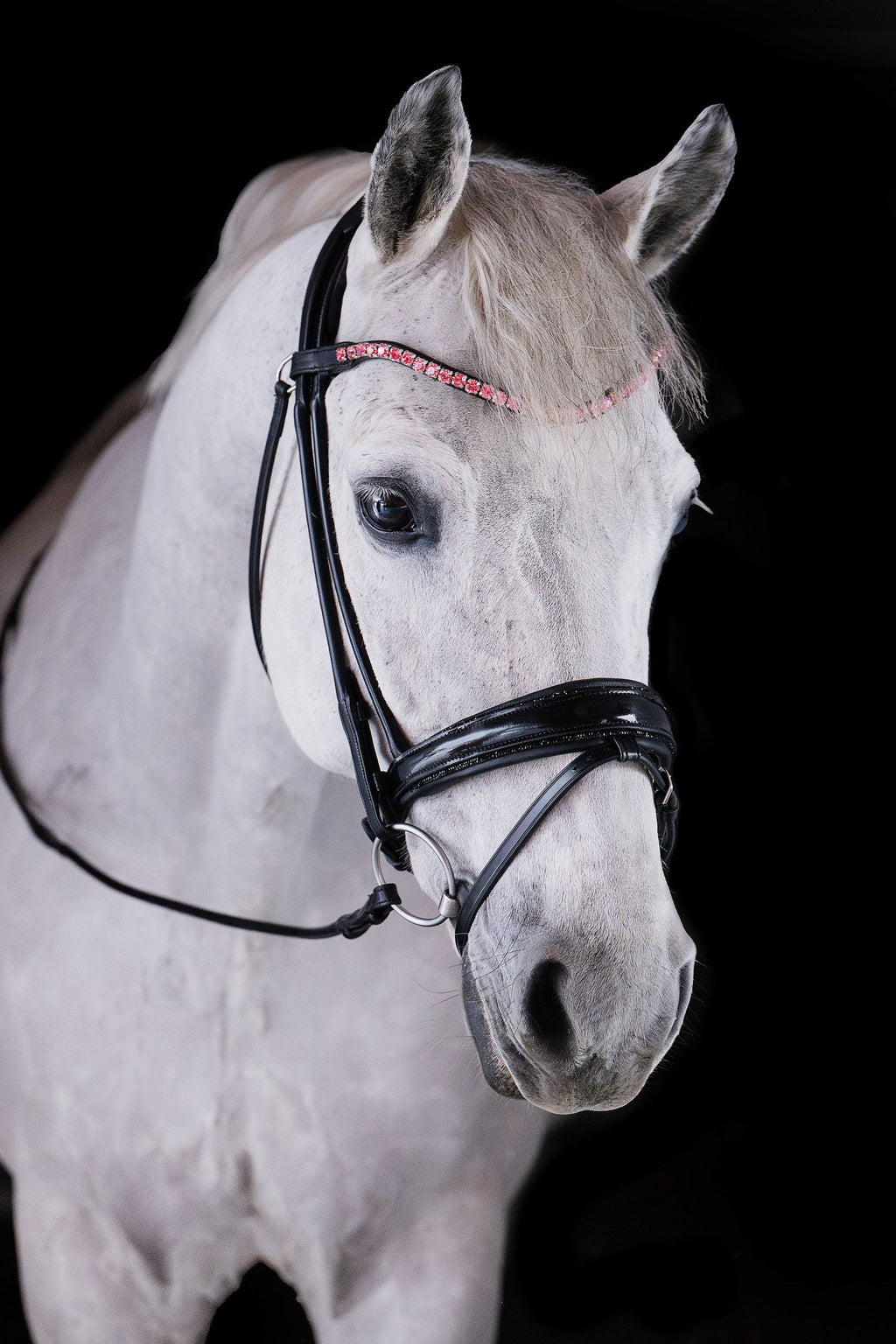 Rose Crystal Browband (8 mm) (Black) | No. 60