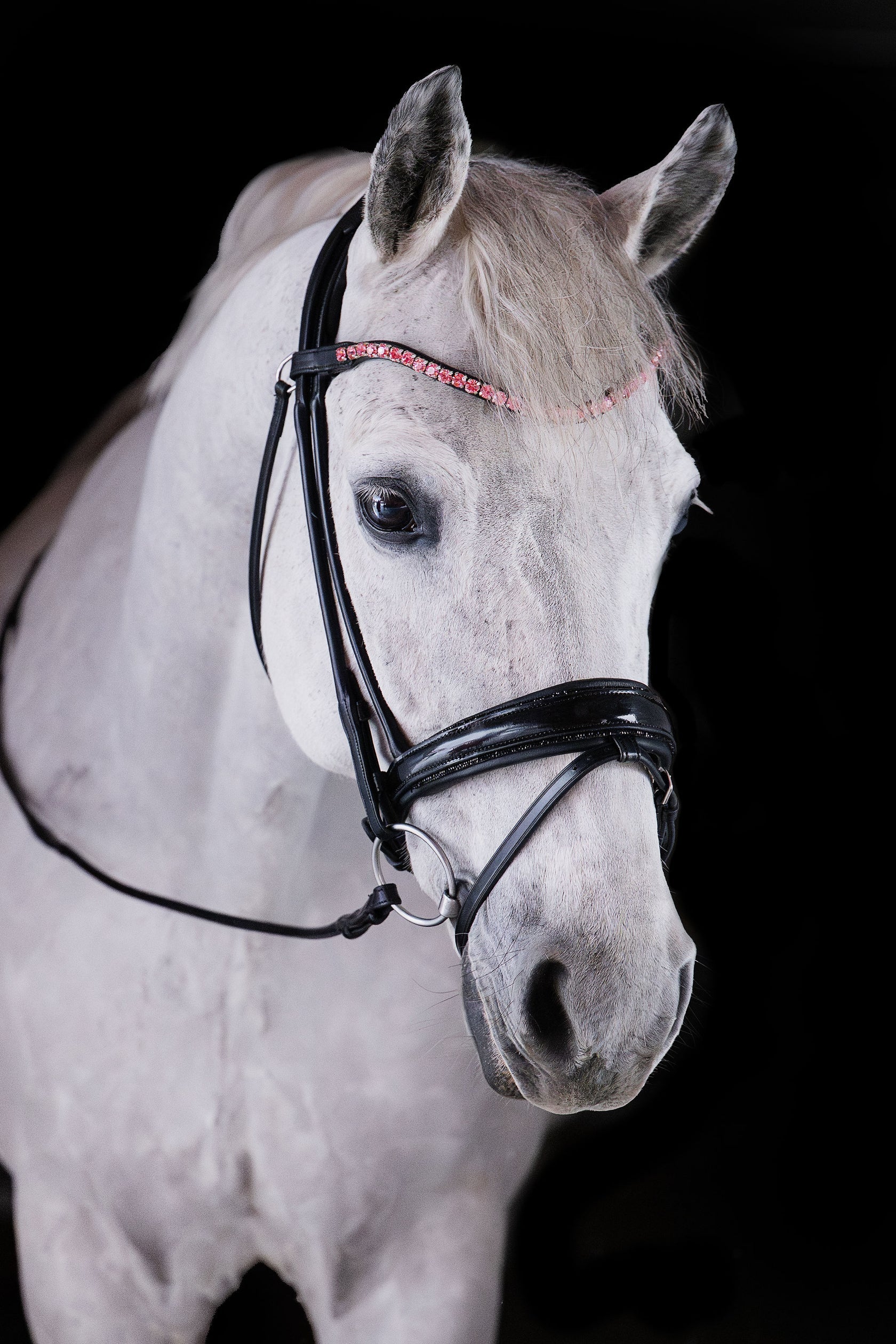 Rose Crystal Browband (8 mm) (Black) | No. 60