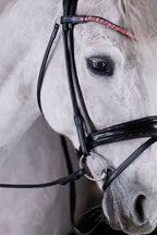 Rose Crystal Browband (8 mm) (Black) | No. 60