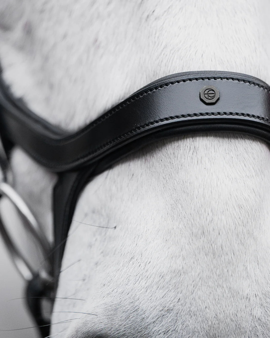 Pony Bridle No. 15 | Black