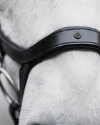 Pony Bridle No. 15 | Black