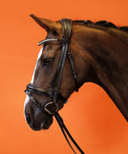Dressage Bridle (Black) | No. 01