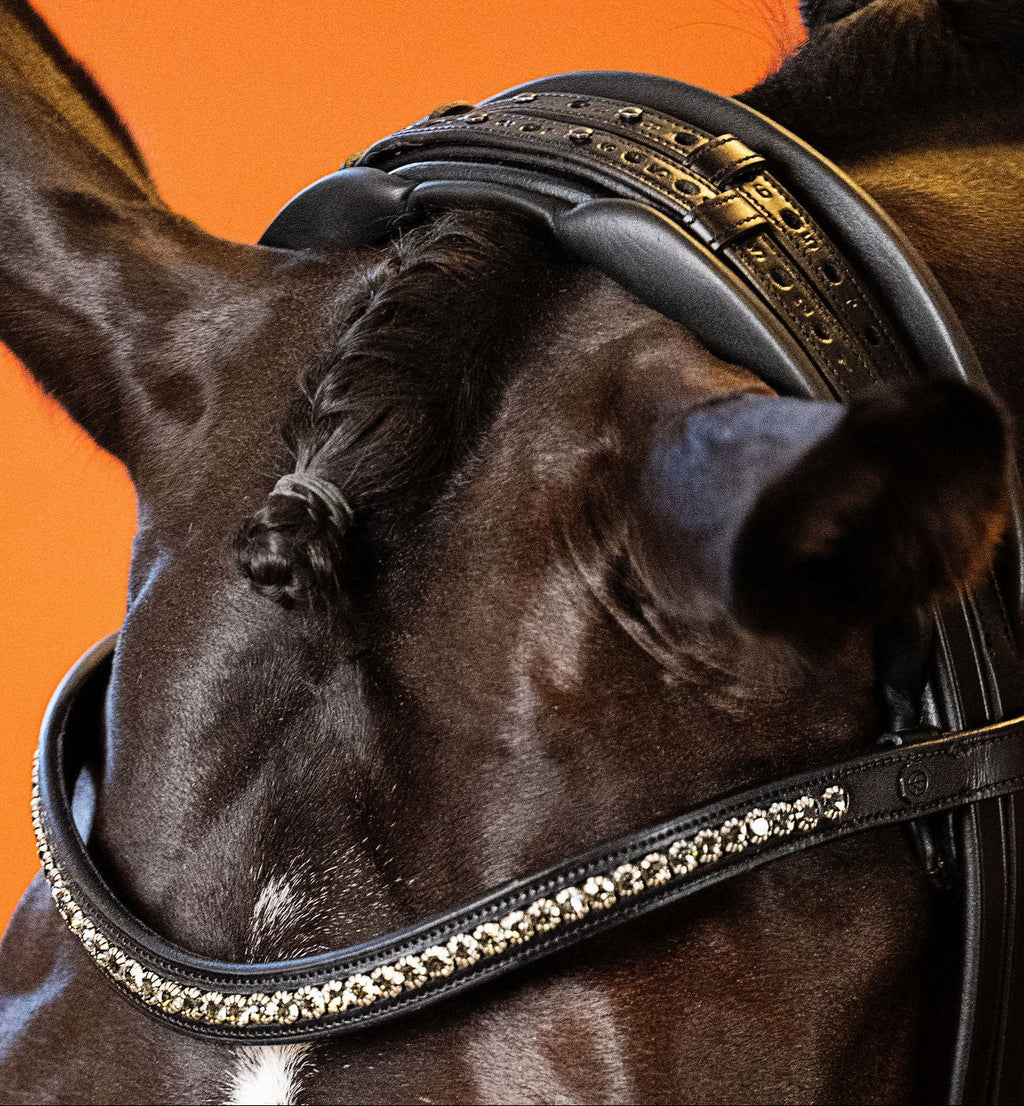 Black Diamond Crystal Browband (6 mm) (Black) | No. 52