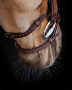 Native Bridle No. 18 | Brown