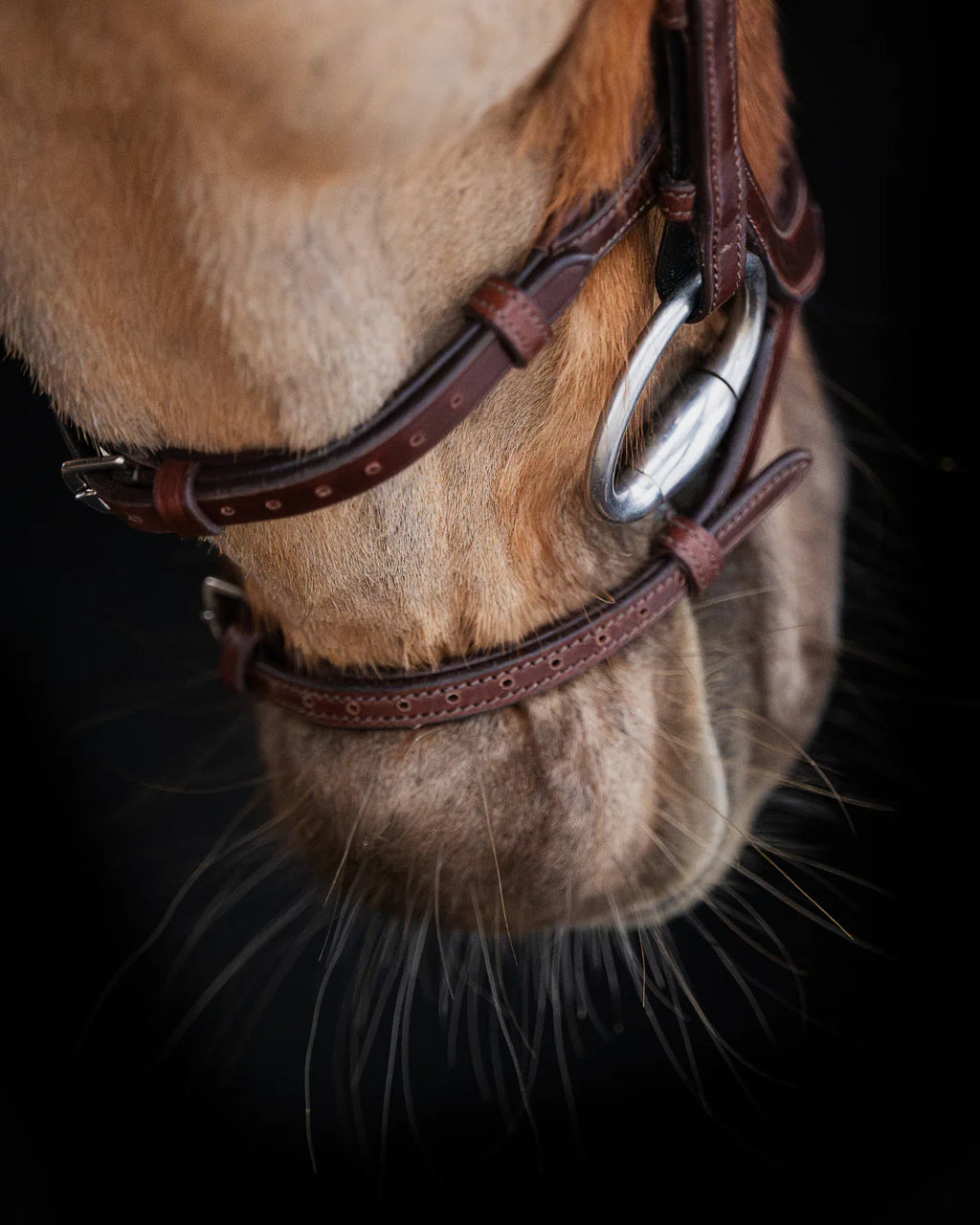 Native Bridle No. 18 | Brown