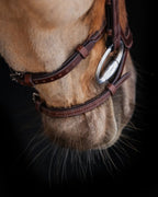 Native Bridle No. 18 | Brown