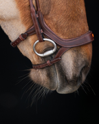 Native Bridle No. 18 | Brown