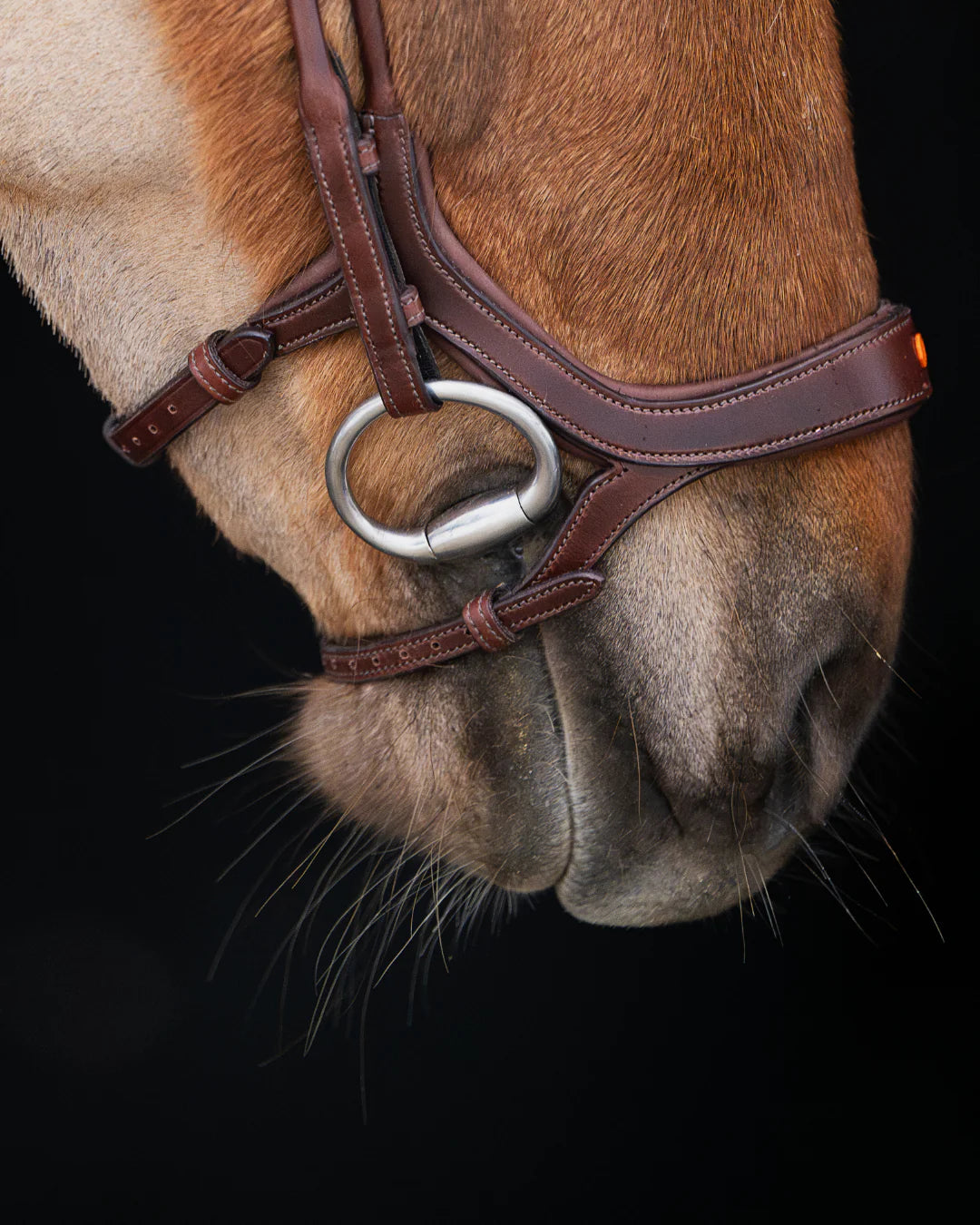 Native Bridle No. 18 | Brown