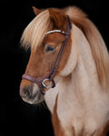 Native Bridle No. 18 | Brown