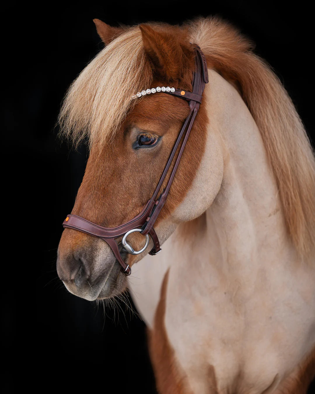 Native Bridle No. 18 | Brown