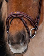 Native Bridle No. 19 | Brown