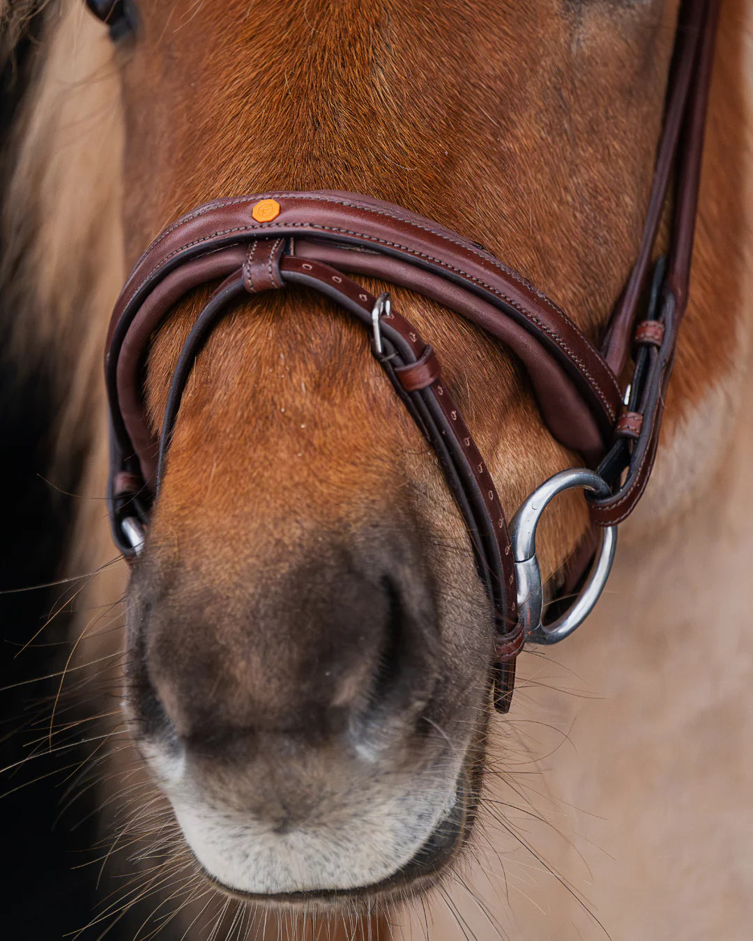 Native Bridle No. 19 | Brown