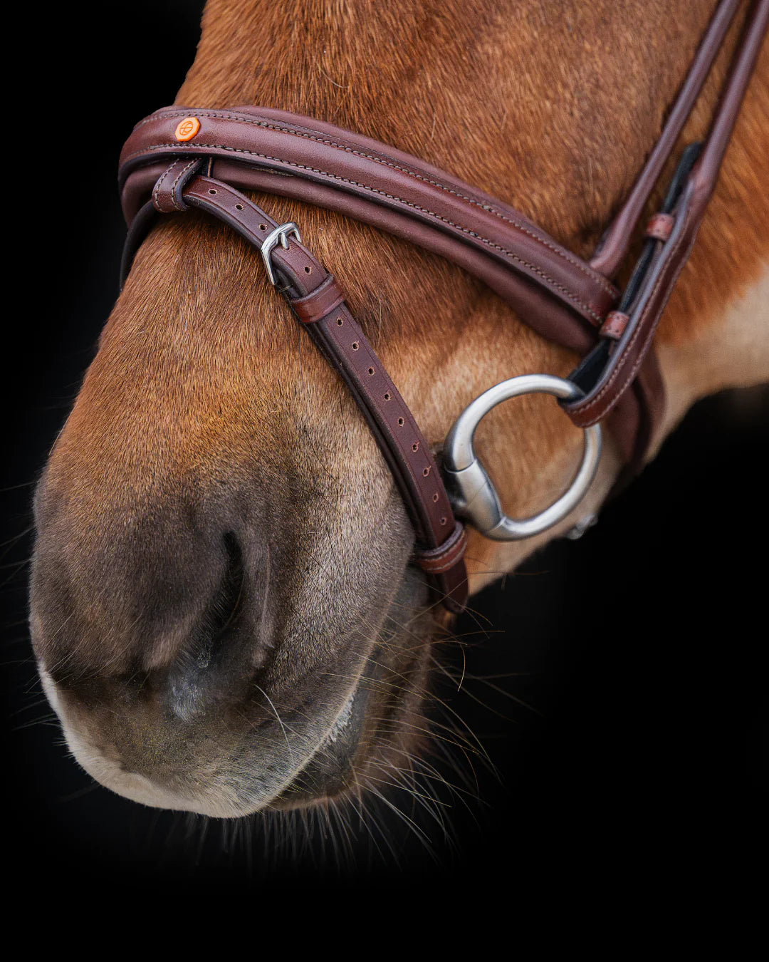 Native Bridle No. 19 | Brown
