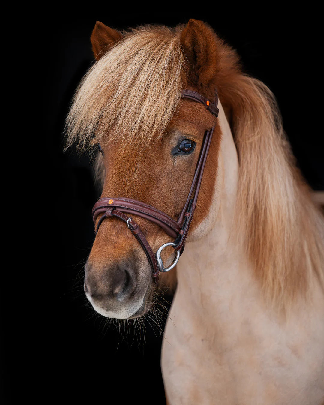 Native Bridle No. 19 | Brown