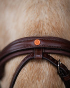 Native Bridle No. 21 | Brown