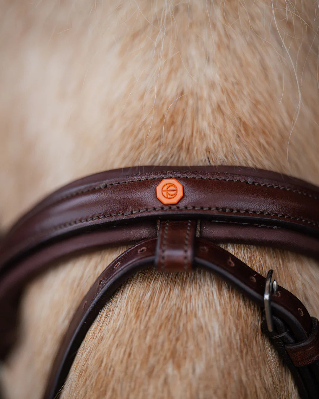 Native Bridle No. 21 | Brown